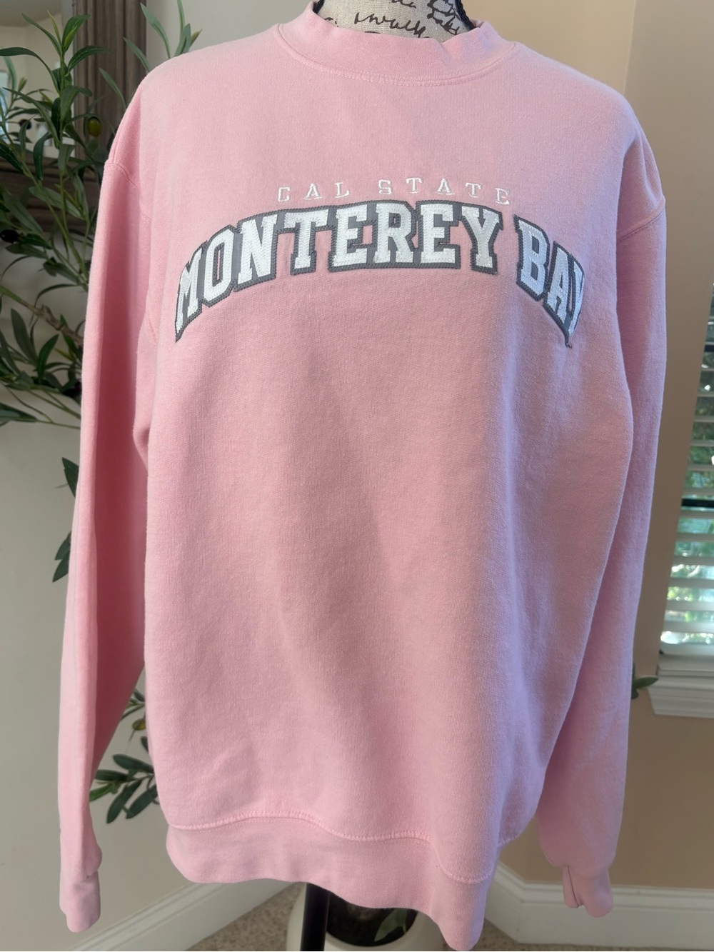 Champion Pink Monterey Bay Crewneck Sweatshirt